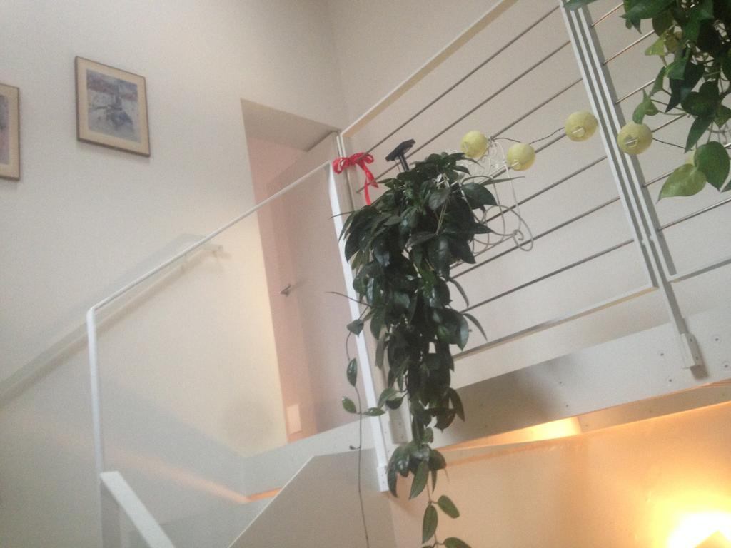 La Casina Daire Parma Dış mekan fotoğraf